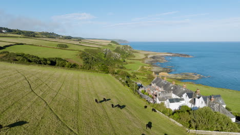 coastal farmland with cattle
