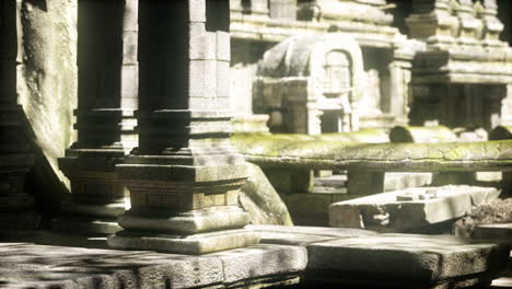 explorando las antiguas ruinas del templo en camboya rodeadas de exuberante vegetación
