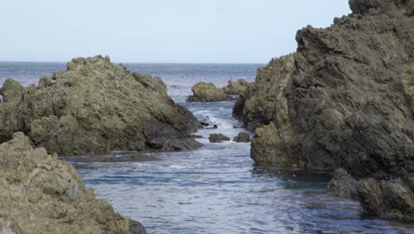 princess bay, wellington, new zealand