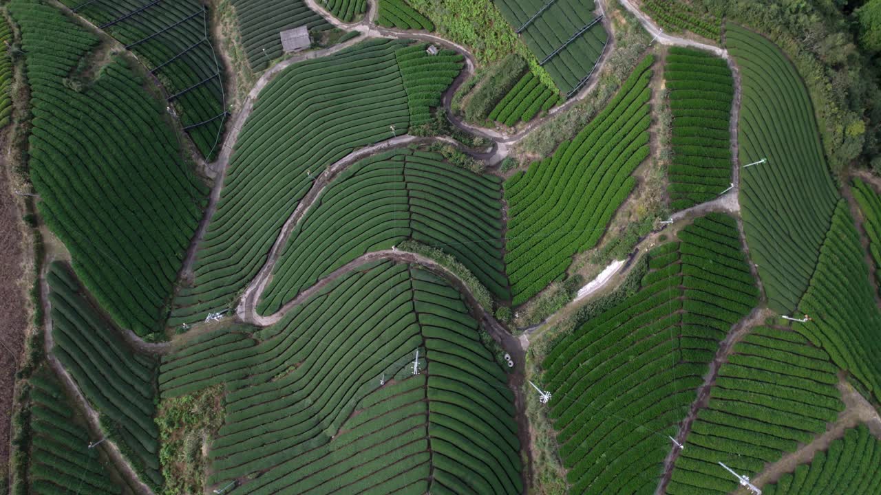 Terrazze di tè Uji Matcha, zona di Wazuka, vista aerea di colline lussureggianti e paesaggio rurale di Kyoto, vista dall'alto