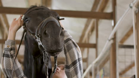 young brunette woman taking care and preparing black horse for riding