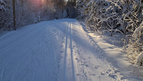 cross country skiing trail in nordic forest during cold sunny winter day