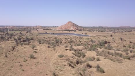 Unhealthy-Plants-On-The-Dry-Lands-In-Rajasthan,-India-During-Drought-Season---low-aerial