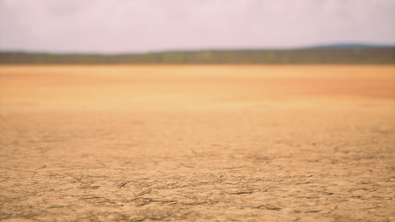 paisaje de tierra árida con tierra seca y agrietada bajo un cielo nublado