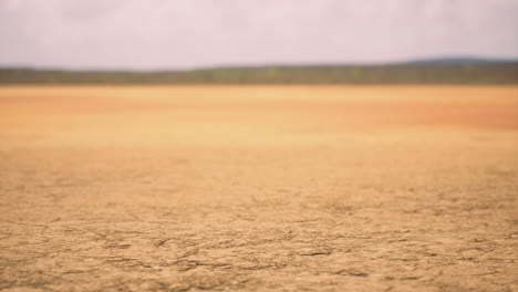 landscape of arid land with dry cracked earth under cloudy sky