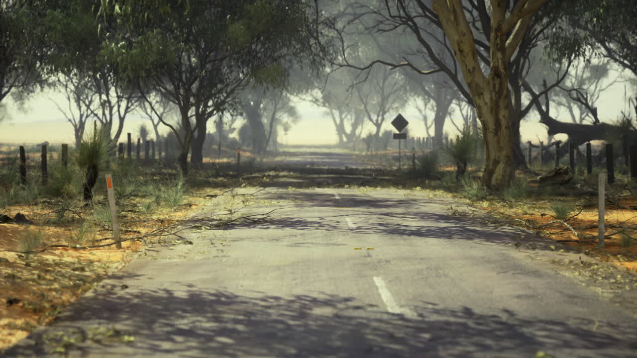 Quiet rural road under trees in the countryside during midday