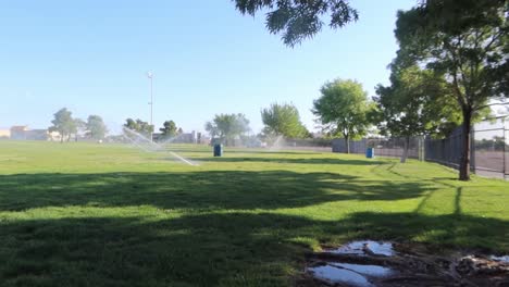 aspersores y agua en el parque