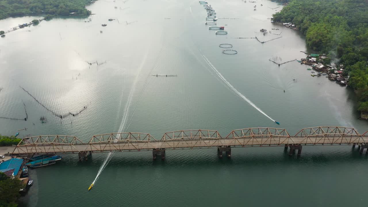 고기, 우유 물고기의 물고기 연못의 공중 사진.