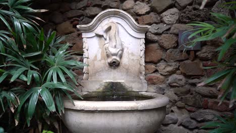 slow motion push in towards water fountain with fish