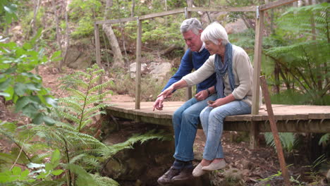 pareja mayor sentada en un puente de madera en el bosque