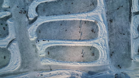 Von-Oben-Nach-Unten-Aufgenommene-Luftaufnahme-Eines-Immergrünen-Sees,-Eislaufen-Mitten-Im-Winter-Unter-Lichtern,-Hockeyspielen-Auf-Verschiedenen-Eisbahnen