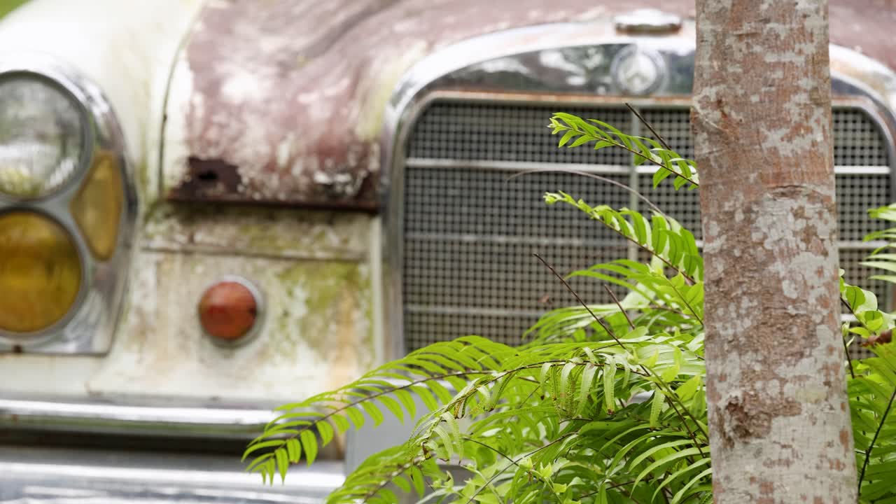 A weathered car partially obscured by foliage and a tree, captured in natural lighting with a stationary camera