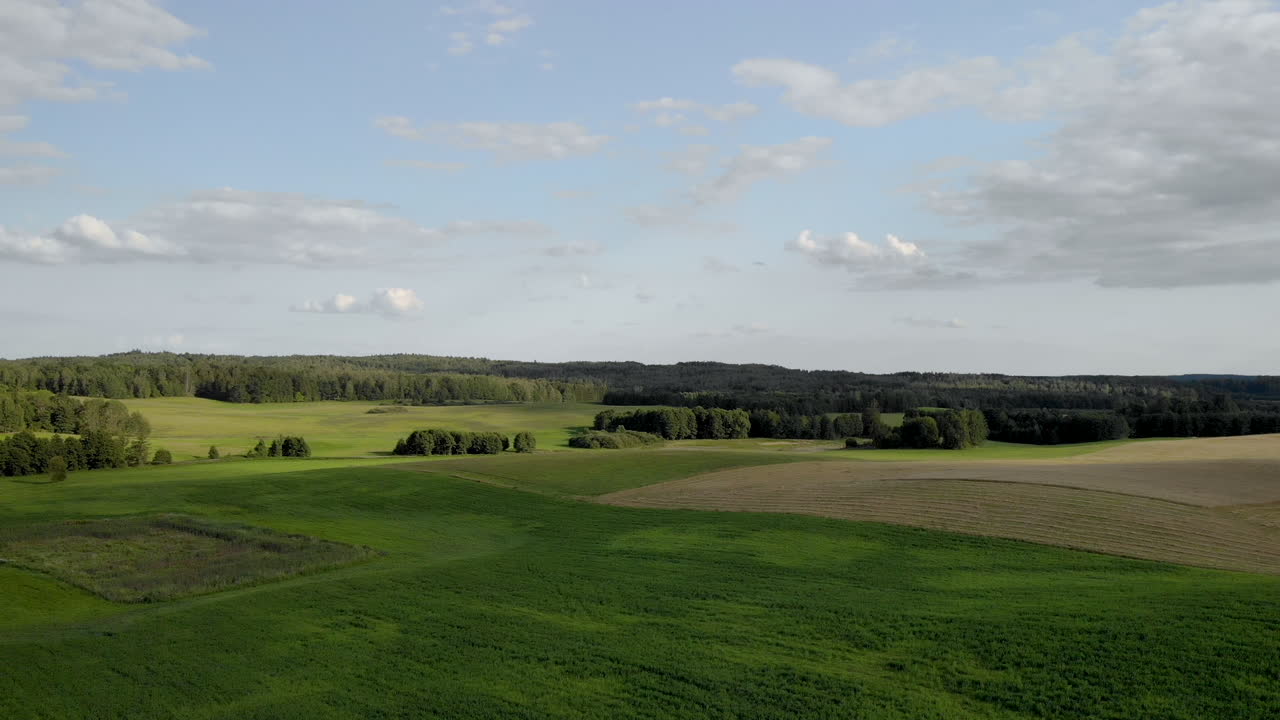 hermosa vista sobre el paisaje rural, vuelo sobre los árboles, en el horizonte se pueden ver árboles y cielo azul con nubes