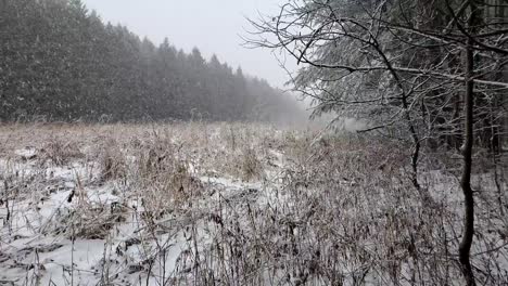 snow flakes falling over a field