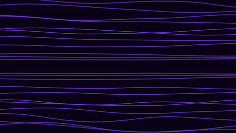 vibrant purple lines dancing on a stark black background