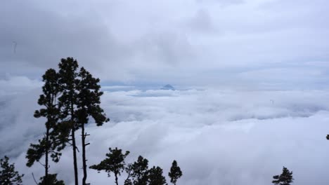 Bäume-Und-Natur-über-Den-Wolken-Auf-Dem-Höchsten-Vulkan-In-Antigua,-Guatemala