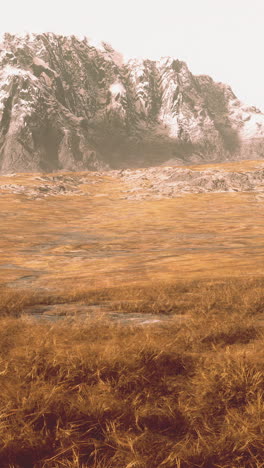 a vast grass field with snow-capped mountains in the background