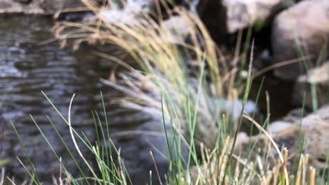 rack focus of water cascading over rocks under a wooden bridge in slow motion