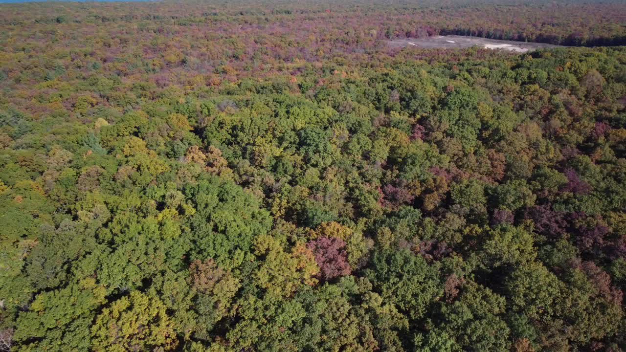 Drone Aerial Motion Over Pinery Ontario’s Unique Sand or Forest Landscape