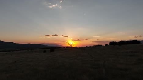 Sonnenuntergang-Hinter-Einem-Einsamen-Baum-Am-Berghorizont