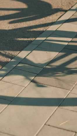sombra de una bicicleta al revés en el pavimento del suelo, con el neumático trasero visible girando, creando un efecto de silueta dinámica en la luz solar cálida
