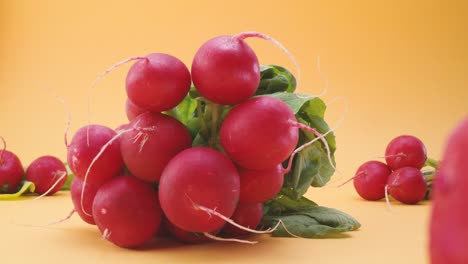 Fresh-red-radish-on-yellow-background