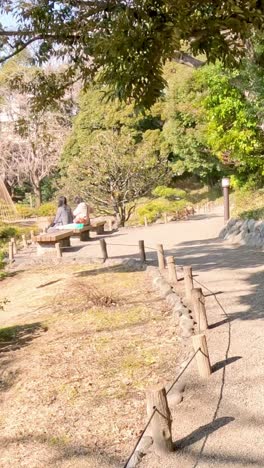 un paseo pacífico a lo largo de un camino del parque por un estanque