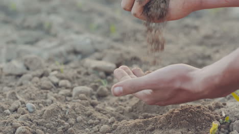 farmer pouring organic soil 4