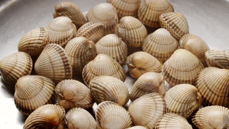 Cooking-clams-in-boiling-water