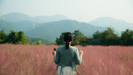 한국 여성이 분홍색 무흐리  ⁇ 을  ⁇ 고 느린 움직임으로 높은 잔디를 만지고 포치온 허브 섬 농장 배경에는 산맥 정상이 있습니다. 카메라에서 멀리 걸어가는 뒤의 정적 뷰