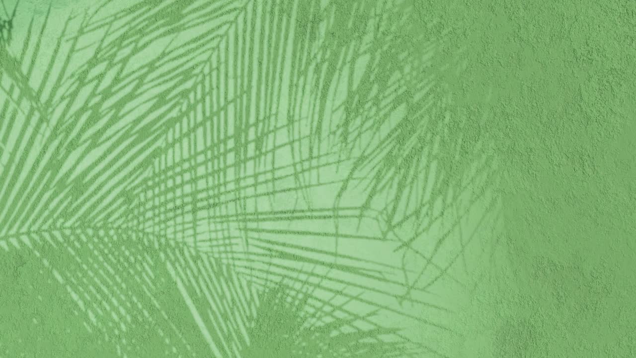 animación de fondo floral pared de textura de musgo verde, textura de pared enyesada, renderización 3d tropical sombras animadas en movimiento helechos ramas de plantas florales, hojas de palma, tema telón de fondo cgi, silueta