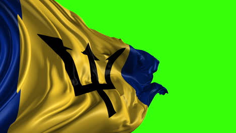 flag of barbados