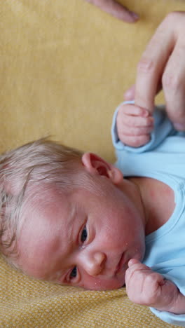 few hours old newborn in blue romper. little baby lying in the crib holding by dad's finger. close up. vertical video