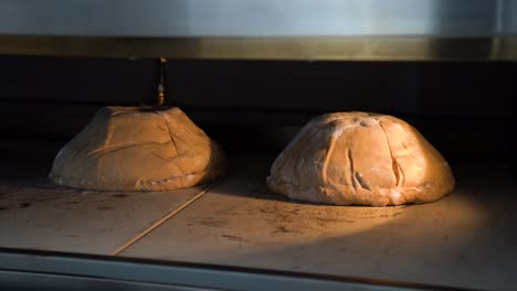loaves of bread rise in an industrial oven, ready for baking, close-up