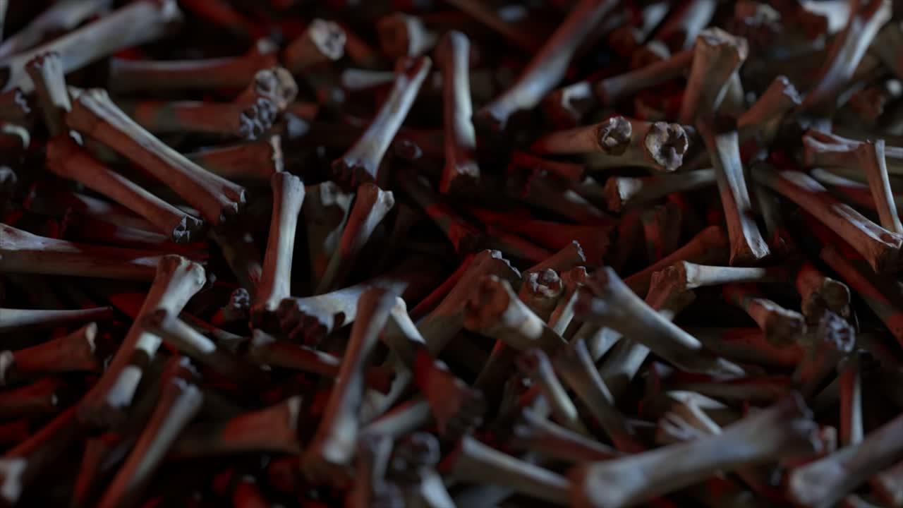 montón de huesos de animales