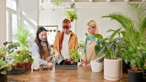 women planting plants in a plant shop