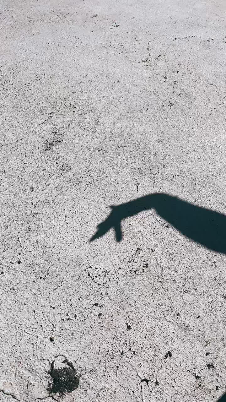 тень руки на текстурированной бетонной поверхности