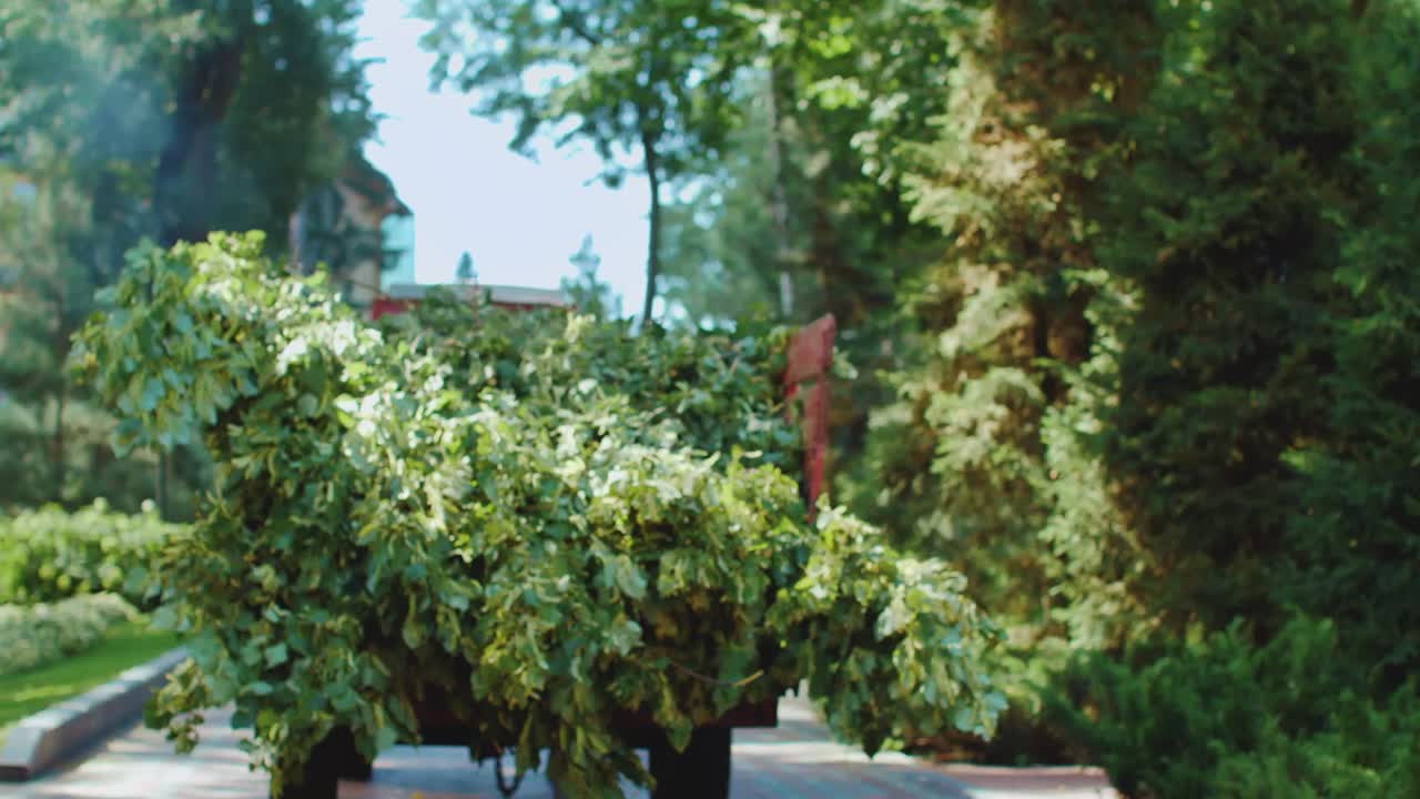 여름 공원 에서 초록색 나무 가지 를 운반 하는 빨간색 트랙터