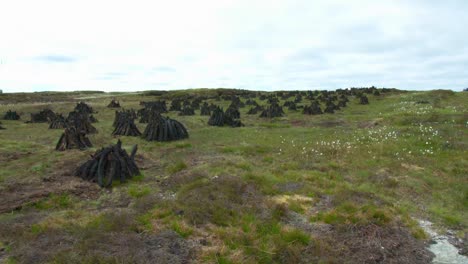 Wide-shot-of-traditional-peat-stacks-drying-in-the-sun