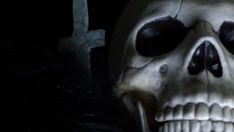 Human-skull-on-creepy-background-close-up-panning-shot