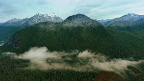 old-growth pine-tree forests covering the mountains and valleys in mount rainer national park, washington state, the usa. clouds of mist covering the woods. sun lights the tops of rocks. top view.