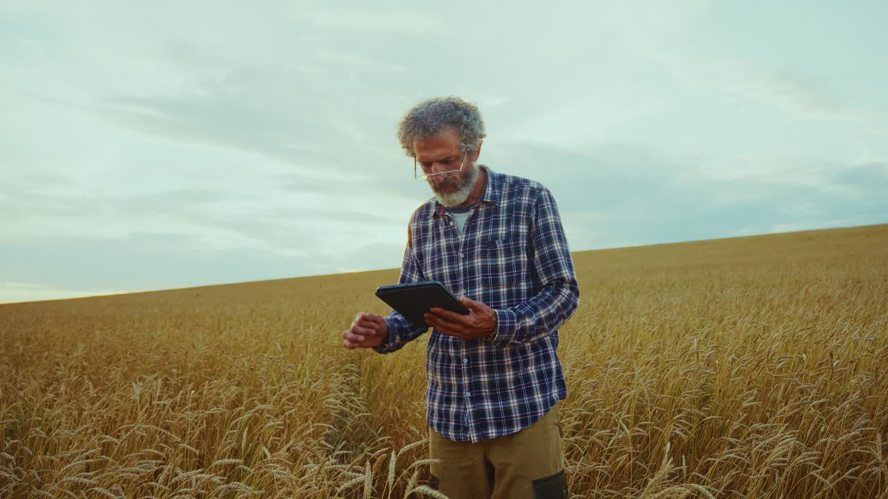 agricultor usando una tableta en un campo de trigo
