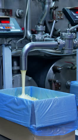 packaging of dairy products. packaging of dairy products in containers