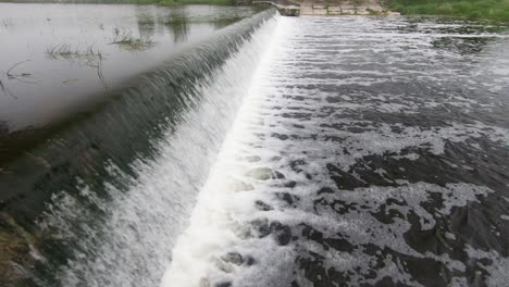 fish leaping river weir on upstream migration-1