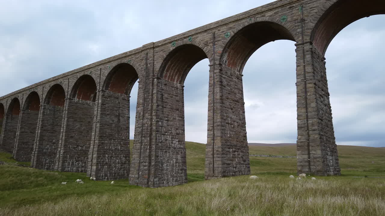 요크셔 데일스 국립공원의 리블헤드 고가교 앞에서 방목하는 양의 왼쪽에서 오른쪽 팬