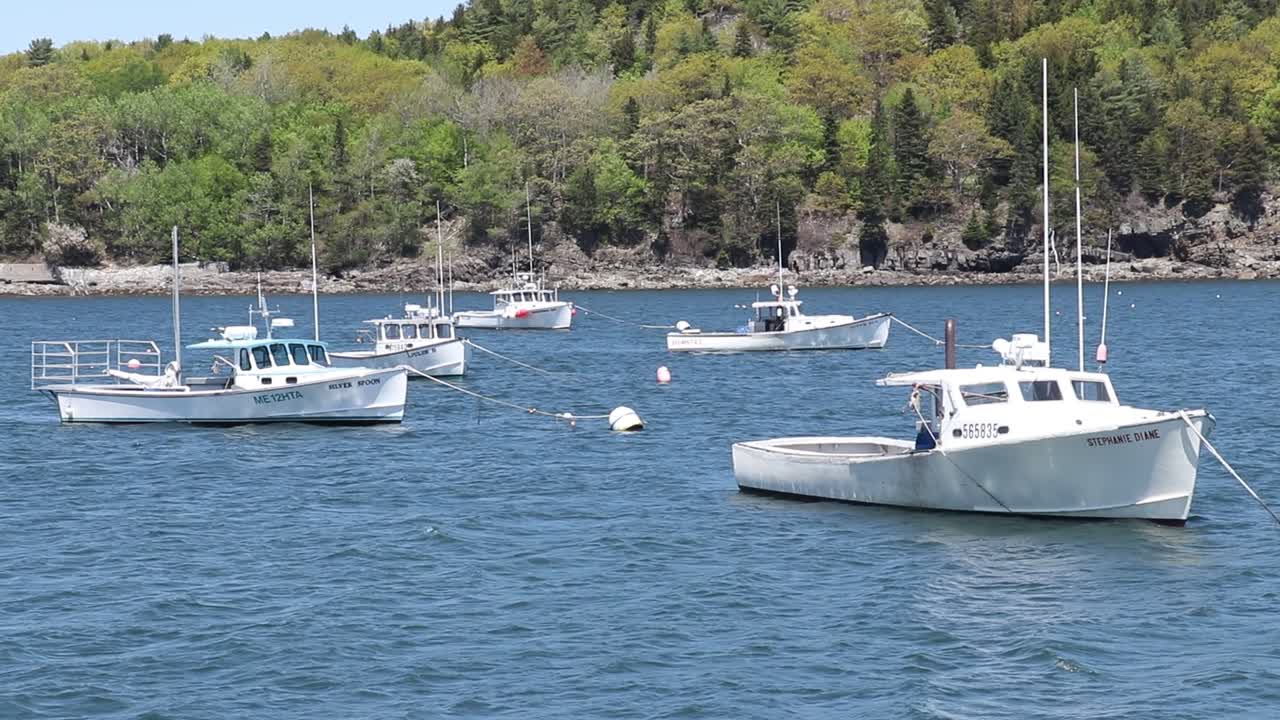 Beautiful sunny day at Rock Port, summer vacation, similar white boats anchored