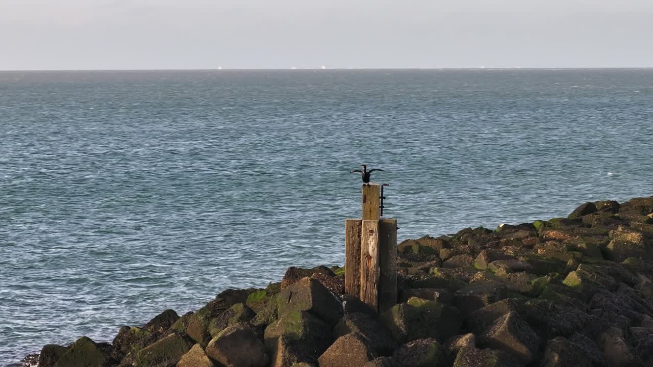 Cormorant stands on rocky pier pillar perched above calm sea with soft daylight and quiet coastal atmosphere, aerial telephoto orbit