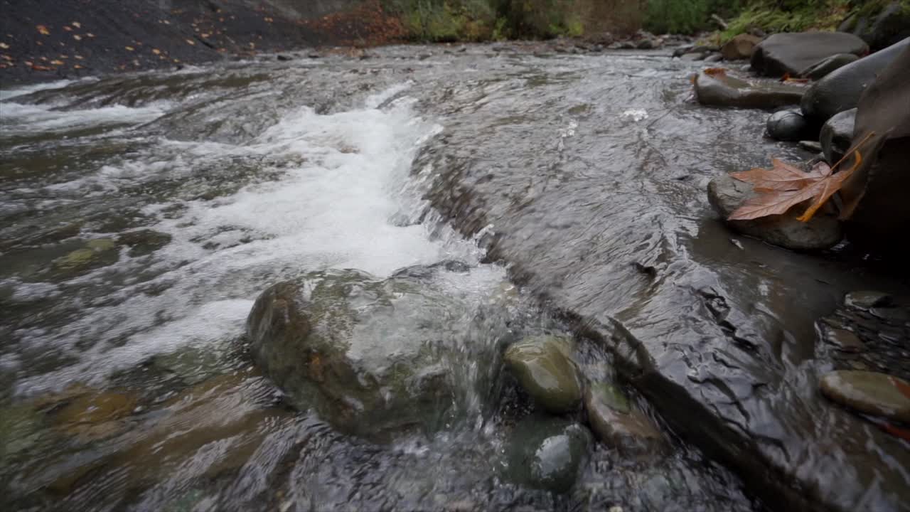 Ripresa al rallentatore di una piccola cascata in un ruscello in autunno