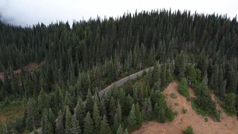 captivating drone flight over a scenic road near olympic national park in washington, usa