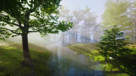 FPV-drone-flight-quickly-and-maneuverable-through-an-autumn-forest-at-sunset